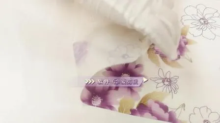 Waterproof PVC/PEVA Printed Tablecloth with Flannel Backing (TJ0280) 